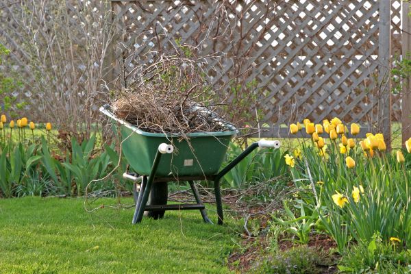 Flower Bed Cleanup Service in Seneca