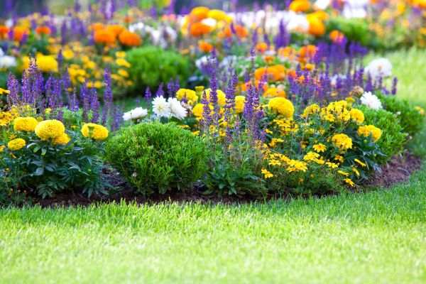 Flower Bed Maintenance in Seneca