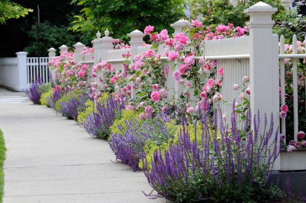 Garden Handyman Service in Seneca