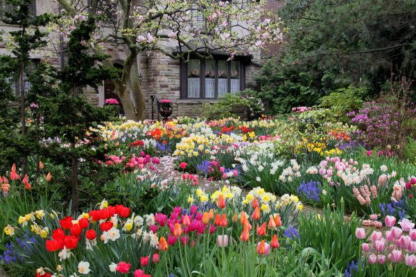 Garden Maintenance Service in Seneca
