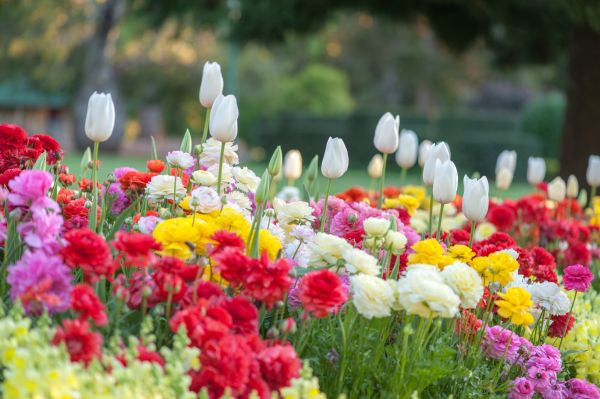 Gardening Service in Seneca