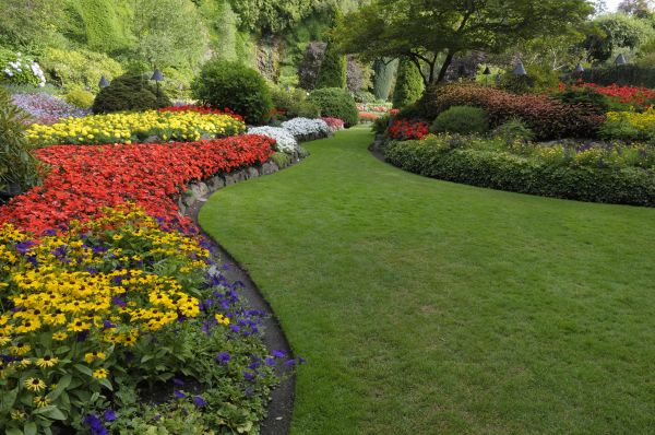 Landscaping Maintenance in Seneca