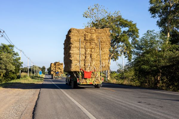 Pine Straw Delivery in Seneca