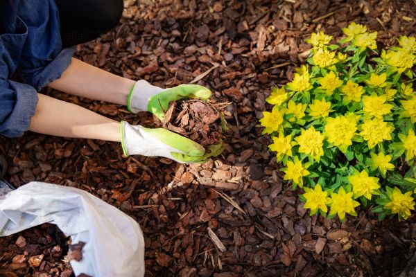 Garden Mulching in Seneca