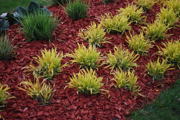 Mulch Landscaping in Seneca