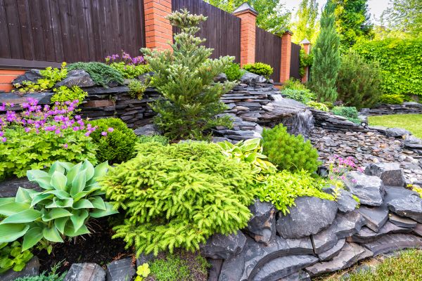 Landscape Remodeling in Seneca