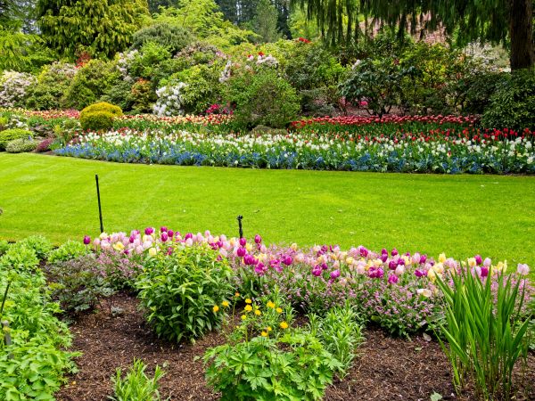 Residential Landscape Design in Seneca