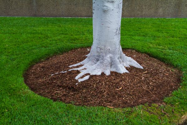 Brown Mulch Installation in Seneca