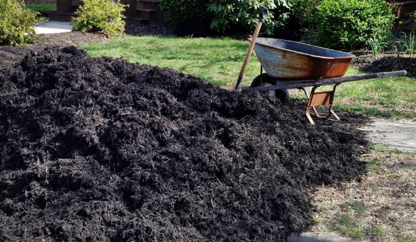 Black Mulch Installation in Seneca