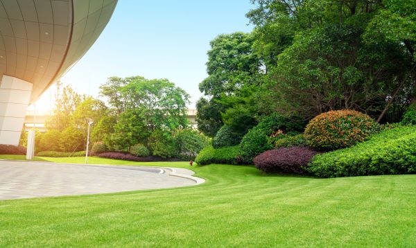 Business Landscape Design in Seneca
