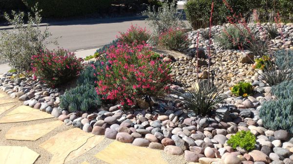 Xeriscape Landscaping in Seneca