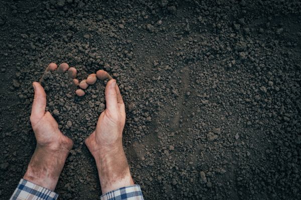 Soil Installation in Seneca