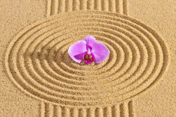 Sand Garden Landscaping in Seneca