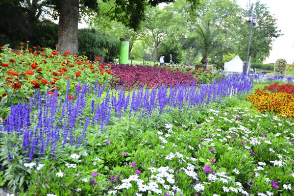 Perennials Planting in Seneca