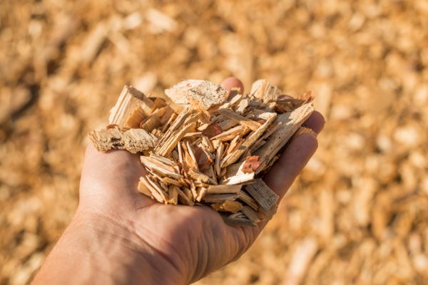 Wood Chips Spreading in Seneca