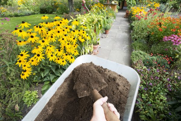Topsoil Replacement in Seneca