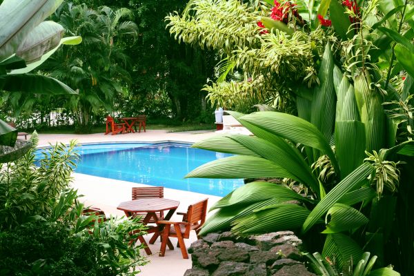 Pool Area Landscaping in Seneca