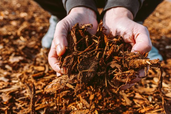 Bark Chips Delivery in Seneca