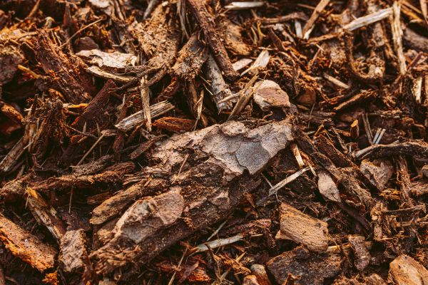 Bark Mulch Delivery in Seneca