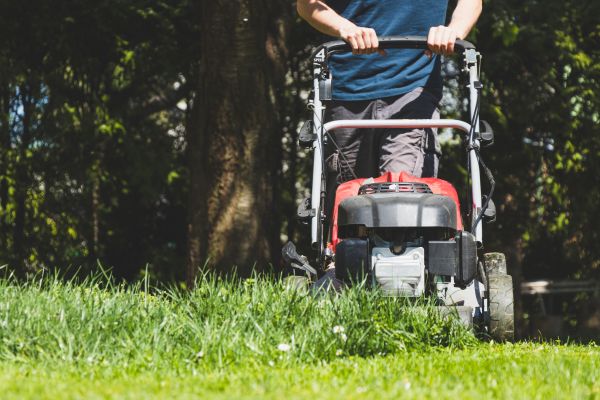 Garden Trimming Service in Seneca
