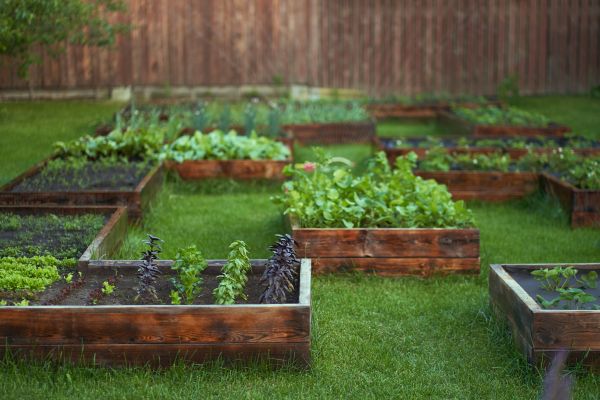 Garden Layout