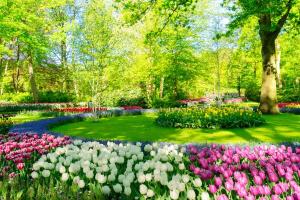 Flower Landscaping in Seneca