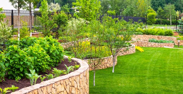 Yard Makeover Service in Seneca