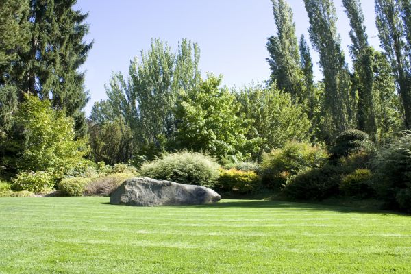 Yard Enlargement in Seneca