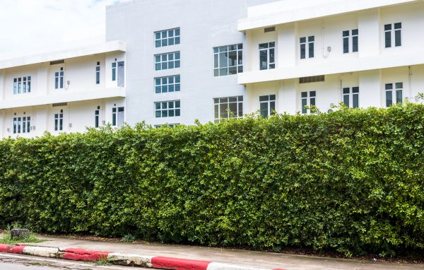 Privacy Landscaping in Seneca