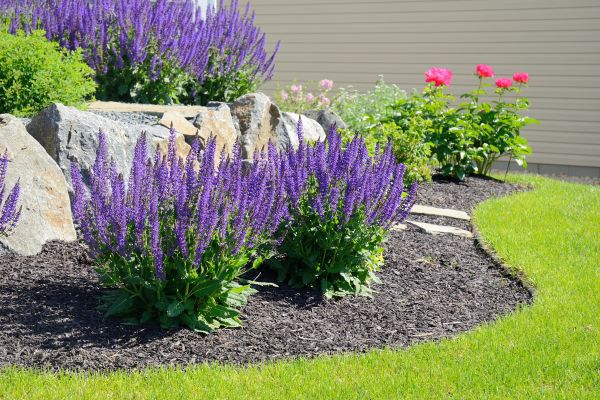 Landscape Planting Service in Seneca