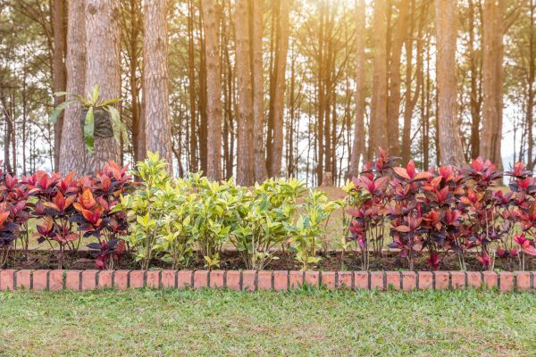 Small Garden Landscaping in Seneca