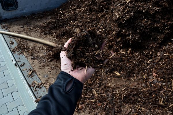 Condo Mulching in Seneca