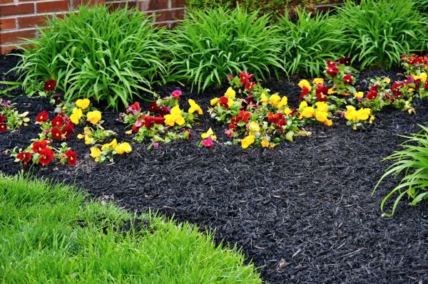 Apartment Mulching in Seneca