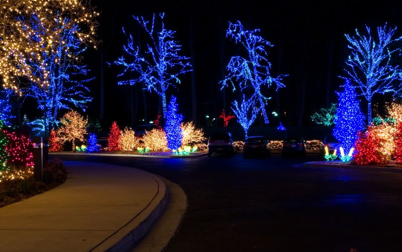 Holiday Landscaping Ideas