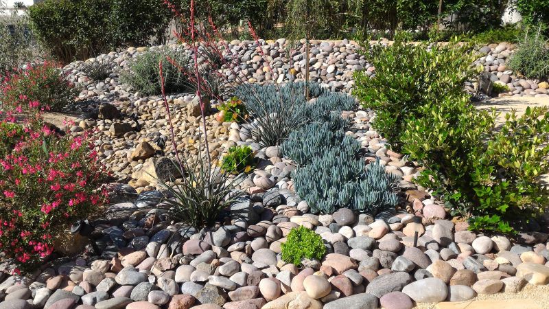 Yard Xeriscaping